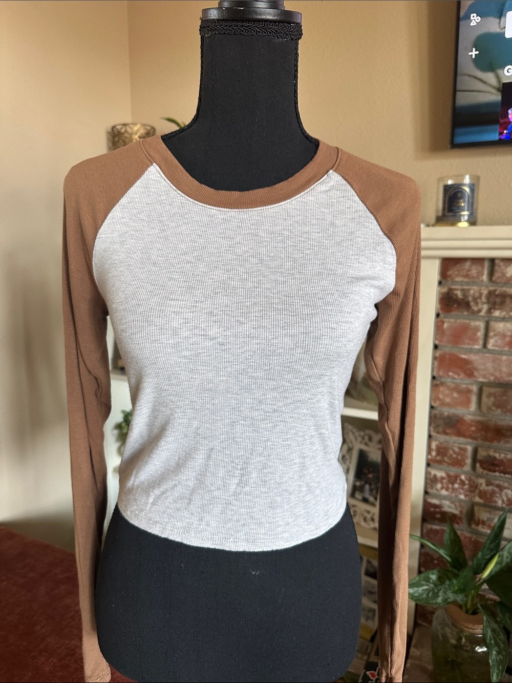 wild fable Brown Sleeve Raglan Long Sleeve Top with Light Gray Body
